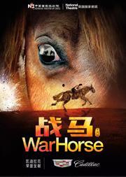 战马在线观看,跨越时空的骏马传奇